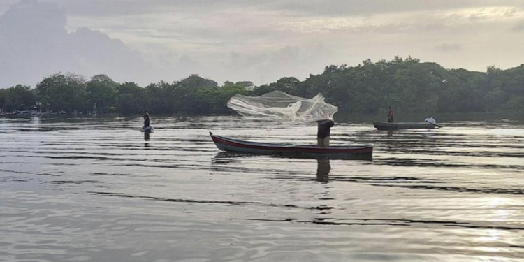 Día Mundial de la Pesca: Guatemala refuerza acciones para promover la pesca responsable. Foto: MAGA